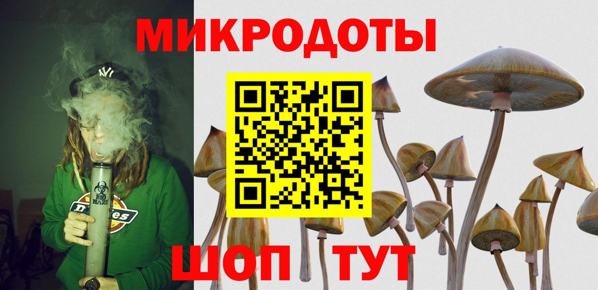 Галлюциногенные грибы прущие грибы Новотроицк